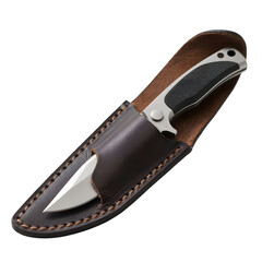 Knife with silver blade and black handle in a brown leather sheath