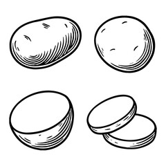 Potatoes Vegetable Food Hand Drawn Collection Black and White Outline Line Art Drawing