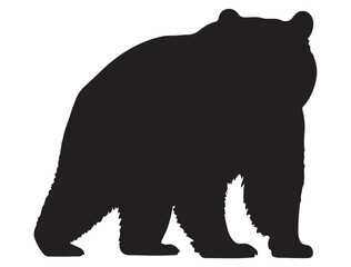 BEAR SILHOUETTE