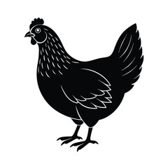 Chicken vector silhouette