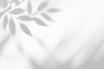 Fototapeta premium Subtle, soft shadows of leaves with blurred edges, forming a peaceful vibe.