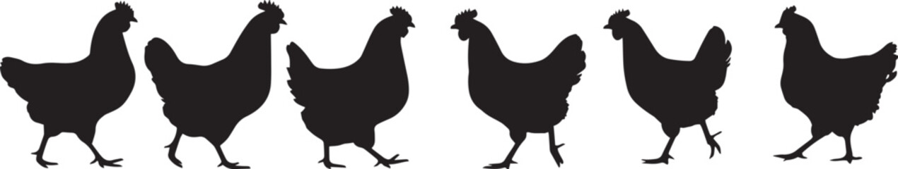 Chicken Silhouette Vector Set Isolated on White Background.