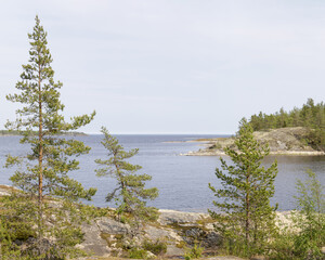 Peaceful view of a rocky shoreline with pine trees and calm sea water under a clear sky, showing...