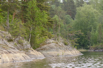 Natural forest edge with weathered rocky slope descending into calm lake water, surrounded by...