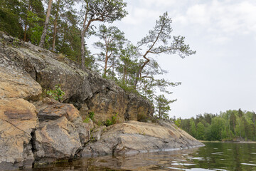 Sloping rock formations meet calm lake waters, with windswept pine trees growing above on a rugged, forested shoreline.
