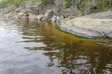 Close view of a rocky lake shore with algae growing at the waterline, reflecting nearby forest and trees in still water.