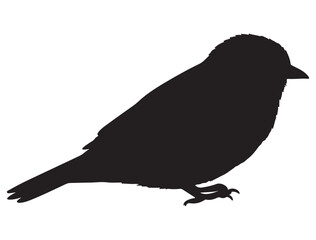 BIRD SILHOUETTE