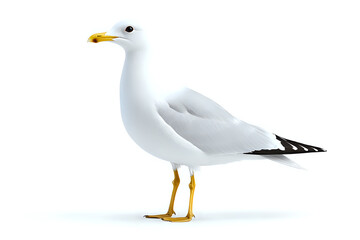 Naklejka premium White seagull with yellow beak and feet standing in profile view on isolated background, detailed rendering for nature and wildlife designs.
