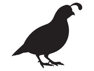 BIRD SILHOUETTE
