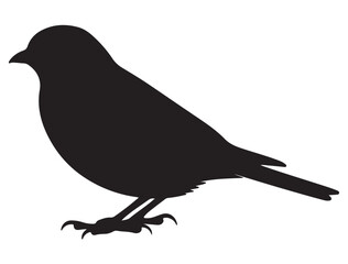 BIRD SILHOUETTE