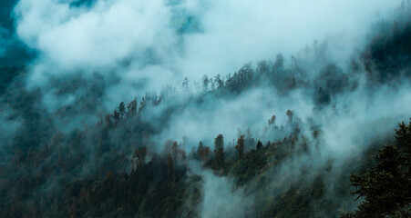 fog in the mountains