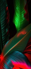Close-up photograph of large, glossy tropical leaves with prominent veins