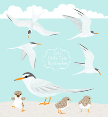 可愛いコアジサシ / Cute Little Tern - 親子の鳥