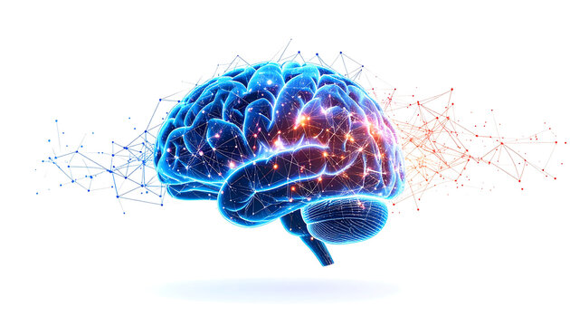 A vibrant illustration of a human brain glowing with energy, surrounded by connected network structures on a white background.