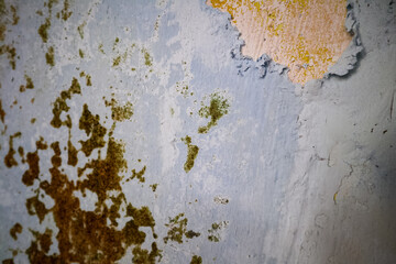 Damaged walls with peeling paint due to mold, mildew, and cracks. Walls with peeling blue and white...