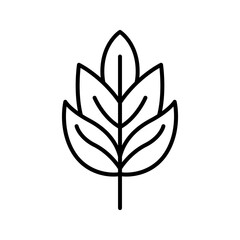 Nature ingredient Lineart Icon