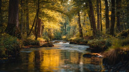 A Golden River That Is Flowing Through A Forest