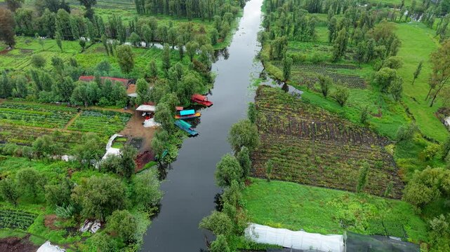Chinampa en los canales y lagos de Xochimilco, trajineras tradicionales para navegar