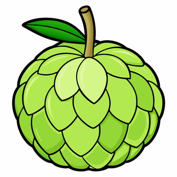 Simple line art illustration of a whole custard apple with its leafy top