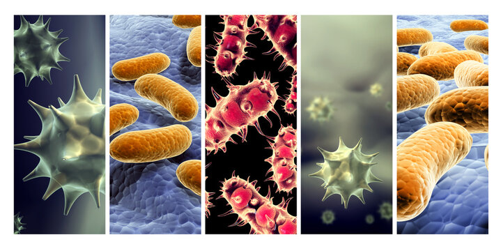 Collection banners with pathogenic bacterias and viruses. 3d virus under microscope. Fast multiplication of bacteria. Infection and microbe. Rapid bacterial growth. Infection and microbial activity