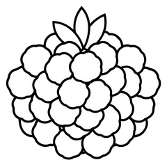 Detailed outline illustration of a cluster of ripe cloudberries