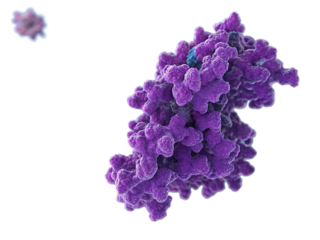 purple-3d-representation-of-a-protein-molecule isolated on white background png, ai generated