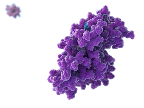 purple-3d-representation-of-a-protein-molecule isolated on white background png, ai generated