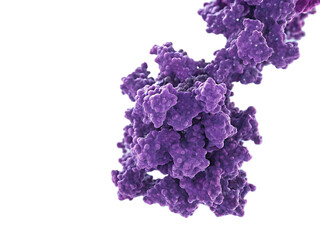 Obraz premium purple-3d-representation-of-a-protein-molecule isolated on white background png, ai generated