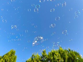 picture bubbles in the sky, on a sunny day.