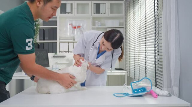 Asian pet owner brings his small cat to veterinary clinic for check up. 