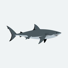 Naklejka premium Shark silhouette vector illustration vector white background.