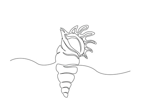 seashell outline illustration. Continuous line drawing of sea shell.