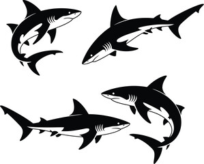 Shark silhouette vector illustration vector white background.