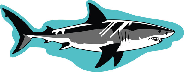 Shark silhouette vector illustration vector white background.