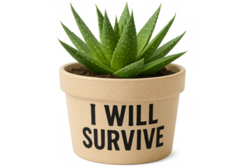 Small aloe vera plant growing in pot with i will survive tagline on transparent background