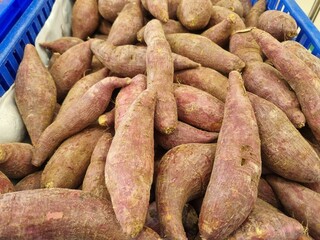 Organic raw purple sweet potatoes from local farmer market in basket. Sweet Potato (Ipomoea batatas), ubi, purple yam good source of antioxidants, particularly anthocyanins, which are linked to variou