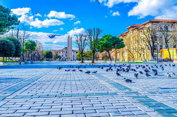 Pigeons on Sultanahmet square and the obelisks in background, Istanbul, Turkey