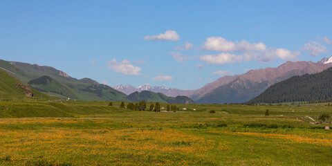 Vibrant flowering shrubs in the foreground lead the eye toward towering mountains under a clear blue sky