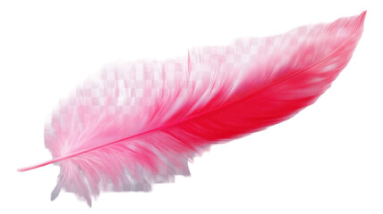 Title: Vibrant Red and Pink Feather Isolated on Clean White Background