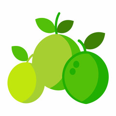 vector illustration of a green apple