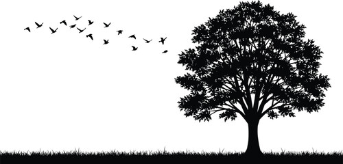 Flying birds with tree silhouette vector, black isolated nature scene, minimal flat landscape, peaceful outdoor art, bird migration, oak tree, grassy ground illustration