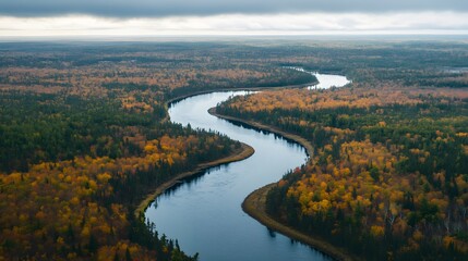 Fototapeta premium Photograph of a winding river through a dense, autumnal forest landscape.