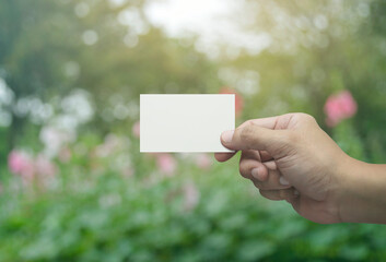 Man hand holding blank white business name card in fingers over blur pink flower and tree in park