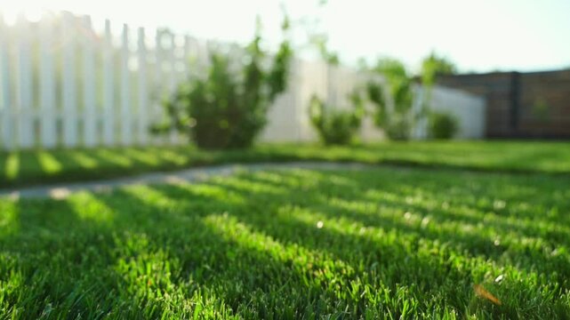 Rays of sun and shadow on a green lawn on a sunny day, smooth close-up camera movement 