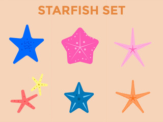 Vibrant and Colorful Starfish Collection: A Fun Underwater Exploration of Coastal Marine Life