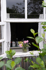 Fototapeta premium flowers in the window