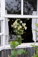 flowers in the window