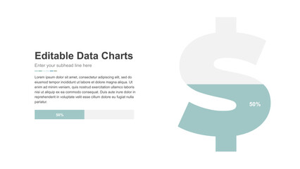 Financial Data Presentation with Editable Charts