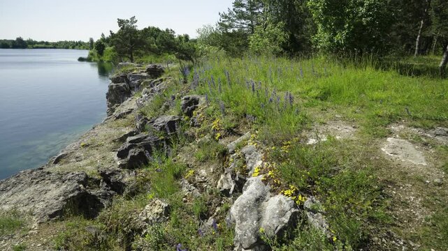 Beautiful nature, landmark of Estonia. Summer season. Rummu quarry lake with clear bright water. Abandoned flagstone quarry.