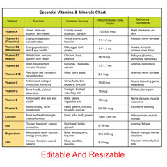 Complete Daily Guide to Essential Vitamins & Minerals: Functions